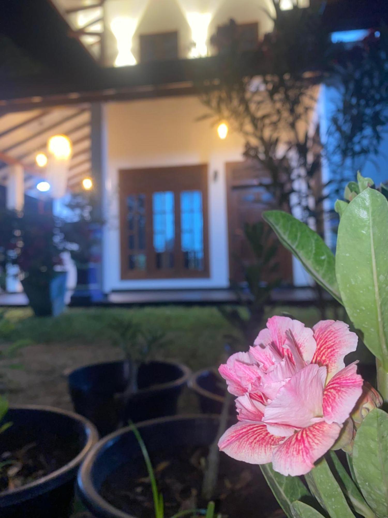 Udara Guest - Yala Safari Villa ภายนอก รูปภาพ